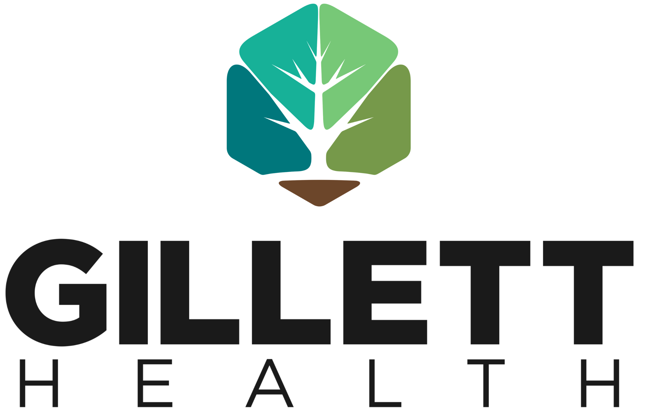 Gillett Health Primary Care and Functional Medicine