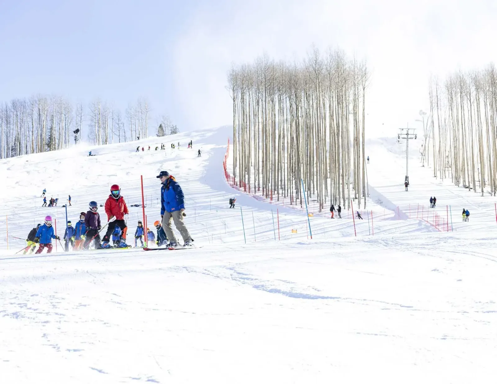 Training lanes set among aspen trees at Vail