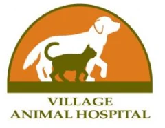 Village Animal Hospital